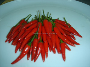 Piment rouge frais cru de qualité supérieure Origine du Vietnam 2025 Produit de haute qualité prêt pour l'exportation en gros - Product Image 3
