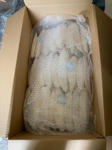 Hueso de Sepia Seco con Alto Contenido de Calcio para Suplemento Alimenticio para Aves - Product Image 6