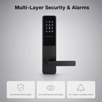 Serrure de porte intelligente SL-BR-001 pour RFID avec contrôle d'accès à distance pour portes en acier/bois, stockage cloud, OEM ODM