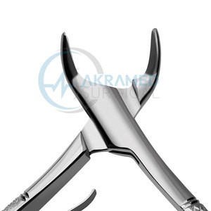 Pinzas de Extracción Dental de Precisión de Calidad Profesional para Clínicas Dentales en Venta - Product Image 2