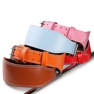 Ceinture de musculation améliorée avec chaîne en acier, ceinture lestée en nylon pour exercices de fitness et de musculation, ceinture de traction profonde - Product Image 3