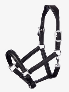Cabestro de Cuero Tradicional para Caballo, Resistente, con Herrajes de Latón en Tono Plateado, Ajustable, para Establos, Cuidado, Entrenamiento y Equitación - Product Image 2