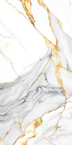 Vente directe d'usine : Carreaux de sol en granit 600 x 1200 mm super polis pour projets gouvernementaux. - Product Image 3