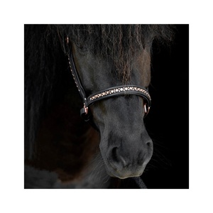 Rub International - Halter en cuir de haute qualité modèle 7860H avec chaîne à fixation thermique, taille et logo personnalisables pour l'équitation - Product Image 6