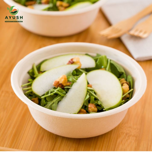 Assiettes et bols à salade jetables de 9 pouces en bagasse, fabriqués à partir de pulpe de canne à sucre, adaptés aux aires de restauration à fort volume et au service de traiteur lors d'expositions - Product Image 6