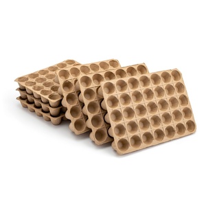 Fruit Packaging Eco-Friendly Anti Break Compostable Molded Pulp Tray Fresh Fruit Tray From Vietnam Manufacturer Paper <b>Boxes</b> - Product Image 2