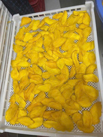 Vochtige en zachte zoete siroop AD vacuüm verpakte gedroogde mango uit Vietnam, beste kwaliteit voor export