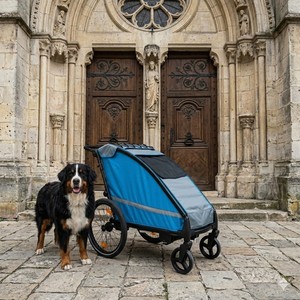 KS-6200 Easy Folding Big Dog Aluminum Stroller <b>Trailer</b> Jogger 3 IN 1 Independent Suspension 20" Air-Filled Tires Lightweight - Product Image 2