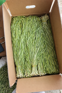 Vegetales de Montaña Secados en Fábrica y Empaquetados |   Vegetal Silvestre Verde Brillante para Venta al por Mayor y Procesamiento de Alimentos |   Sra. Alina - Product Image 2