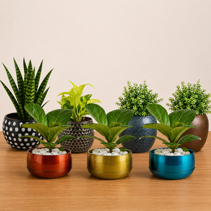 Maceta Decorativa de Metal Dorado de Lujo para Orquídeas, Maceta para Plantas de Interior, Decoración para Mesa, Hogar, Oficina y Hotel - Product Image 5