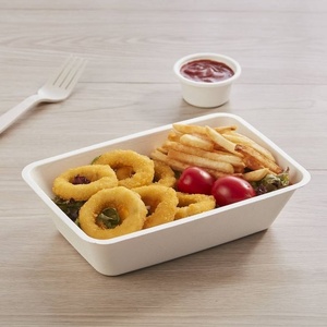 Nouvelle boîte d'emballage rectangulaire jetable en bagasse, conteneur alimentaire compostable 1000 ml avec couvercle, moderne, anti-fuite, non blanchie, pour hôtel - Product Image 1