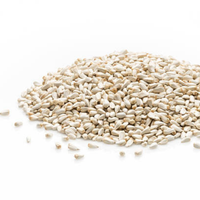 Graines de Carthame à Taux de Germination Élevé (Carthamus Tinctorius) pour Semis – Graines de Carthame Hybrides Non-OGM
