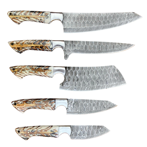 Juego de 5 cuchillos de cocina de acero de Damasco, cuchillos afilados para chef, carnicero y rebanar, mango de madera, ambidiestros, 67 capas - Product Image 3
