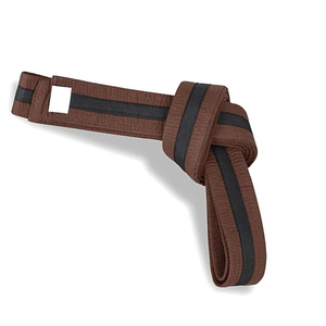 Ceinture de karaté personnalisée en coton, ceintures d'arts martiaux, ceintures de BJJ, Jiu Jitsu, Judo, Taekwondo, ceintures de grade, équipement sportif d'entraînement de haute qualité - Product Image 1