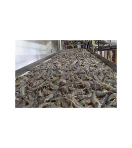 กุ้งขาวหัวขาดหางขาด แช่แข็ง บรรจุกล่อง 5 กก. อายุการเก็บรักษา 12 เดือน จากแอฟริกาใต้ ราคาดีที่สุด - Product Image 1