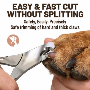 Special Stainless Steel <b>Dog</b> Nail Cutter Spring Style Dip Handle Veterinary Instrument Pet Nail <b>Scissors</b> Animal Nail Clipper <b>Dogs</b> - Product Image 2
