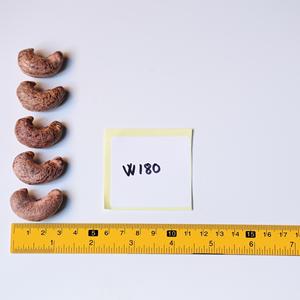 Vietnam Brand Roasted Salted Cashew <b>Nuts</b> Bulk Premium W180 ISO Certified Unique Buttery and Salty 500g Vacuum Pack - Product Image 2