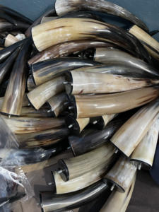 Corne de boeuf polie de haute qualité artisanat naturel animaux inspirés pour les fêtes de mariage Viking poudre boisson cuir nautique - Product Image 4