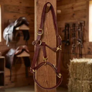 Cabestro de cuero duradero para caballo, ajustable, hecho a mano, accesorios ecuestres Annabelle, proveedor de artículos de equitación. - Product Image 3