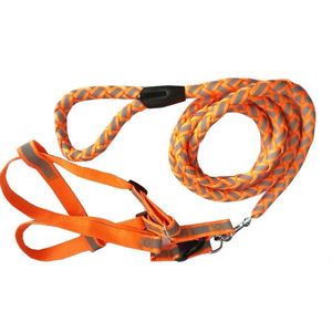 Guinzaglio e Pettorina per Cani 2-in-1 Regolabili con Cuciture Riflettenti, Pettorine a Tensione Facile per Animali Domestici - Product Image 5