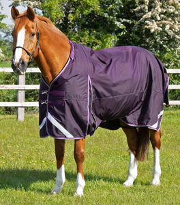 Nouvelle Arrivée 2026 – Couvertures et Tapis d'Équitation Personnalisés Imperméables, Respirants, Durables et de Qualité Supérieure pour l'Extérieur et l'Écurie - Product Image 6