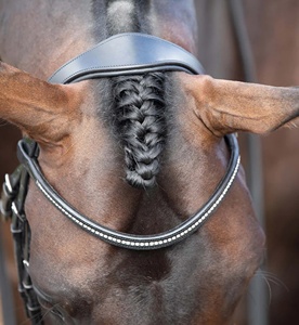 Brida de snaffle anatómica de caballo de calidad superior El mejor flash de cuero fabricado por Premium Horse Equipment Producer - Product Image 5