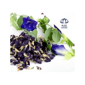 Flor de guisante de mariposa seca disponible para la producción de bebidas, colorantes y repostería, Vietnam - Product Image 1