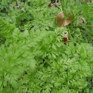 Tiges de jardinage en cuivre de haute qualité pour l'électroculture, la croissance organique des plantes, l'activation du sol et l'amélioration des jardins, pour l'exportation - Product Image 4