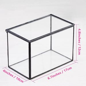Terrario de Vidrio Irregular con Puerta, Maceta Geométrica para Suculentas, Maceta para Plantas, Maceta Pequeña para Bonsái, Recipiente para Reptiles - Product Image 3
