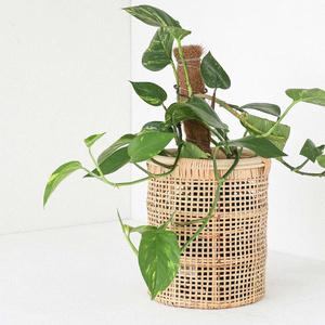 Garden Pots & <b>Planters</b> Natural Rattan Cane Plant Pots Hand-woven Elegant Rattan <b>Planters</b> <b>for</b> Home Decor - Product Image 3