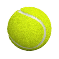 Ballons de tennis professionnels de haute qualité pour l'entraînement et les matchs, en caoutchouc, pour le cricket et les sports de plein air, vente en gros