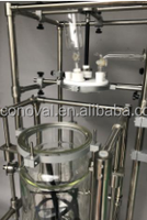 1L 2L 3L 5L 10L Fermentation de champignons de laboratoire à acide lactique Double couche de verre chemisé Bioréacteur fermenteur de paillasse