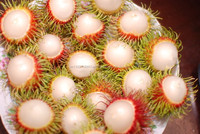 Fruits de rambutan frais du Vietnam, meilleure qualité