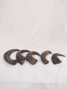 Top Dog mâche des cornes de buffle d'eau naturelle Friandises pour chiens Os Écologique Style Animal Poli Technique Prix bas Inde - Product Image 2