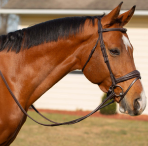 Bridon de cheval réglable en cuir durable avec rênes respirantes – Équipement équestre - Product Image 1