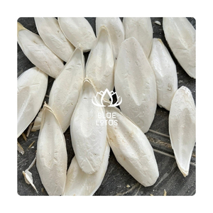 Meilleur Choix : Os de Seiche Séché pour la Mastication des Parakeets et les Moules de Silversmith - Product Image 1