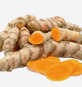 Curcuma pur de Lakadong pour la cuisine, extrait de curcuma de Lakadong haute puissance provenant d'un fournisseur indien au meilleur prix - Product Image 2