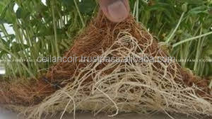 Coussinets de culture en fibre de latex pour la culture de micro-pousses au meilleur prix, 100% fibre de coco naturelle, biodégradable et écologique - Product Image 3