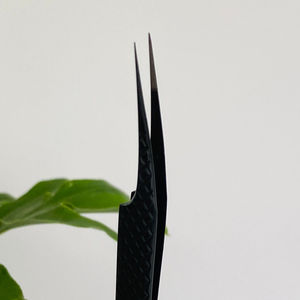 Pinzas para Pestañas de Acero Inoxidable Kaamir Instruments, Punta Puntiaguda, Textura Suave, 10 mm de Longitud, Característica Antimagnética, Uso para Cejas - Product Image 2