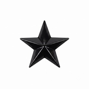 Tirador de cajón con forma de estrella de mar, pomo decorativo de metal para gabinetes, tiradores de hierro fundido de estilo moderno para el hogar, artículo de ferretería. - Product Image 6