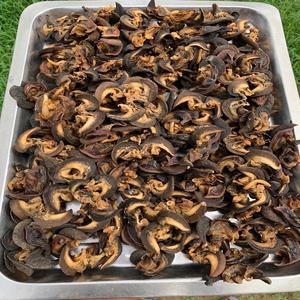 Escargots africains séchés riches en protéines 5-8cm, transformés par lyophilisation, emballage sous vide, qualité supérieure, viande gastronomique, 25kg, prix de gros, aliment naturel - Product Image 1