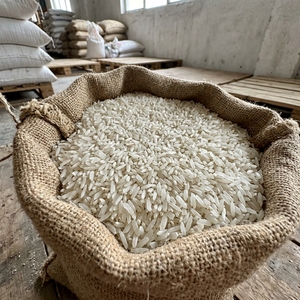 Suministro de Granos Orgánicos de Alta Calidad para Compradores: Arroz Blanco Orgánico de Grano Mediano, Empacado, Alimento Seco Natural, Paquetes de Exportación de Calidad - Product Image 1