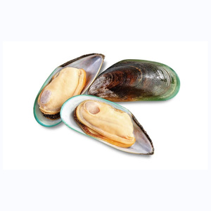 Top Quality Frozen Shellfish Mussels for sale - Product Image 5