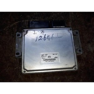 ECUs y Módulos de Computación Usados de Carnival 391044X920 - Product Image 1