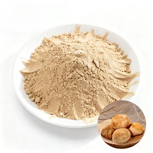 Fine Mesh 100% Natural Lions Mane Mushroom Powder Herbal Food Grade Mushroom Powder Helps Improve <b>Sleep</b> Quality & Relaxation - Product Image 3