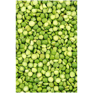 Lentejas Verdes de Primera Calidad, Lentejas Verdes a Granel, Fabricantes de Lentejas - Product Image 6