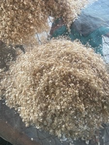 Escamas de Pescado Secas de Alta Calidad de Vietnam, Envasadas al Vacío por Viet Delta - Product Image 2