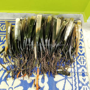 Cuchara para zapatos premium hecha a mano de cuerno de vaca y buey de 16 pulgadas con mango largo y correa de cuero auténtico para facilitar el calzado al mejor precio - Product Image 4