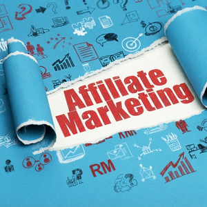 Plateformes de marketing d'affiliation UNIVENTURE Elite et cadres de promotion de partenaires stratégiques pour un impact maximal sur la marque - Product Image 3