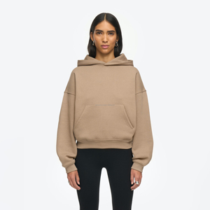 Sudadera con Capucha Gruesa 100% Algodón para Mujer, Sudadera con Capucha Extra Grande Personalizada al por Mayor, Sudadera con Capucha de Felpa de Alta Calidad Estampada para Invierno, para Parejas - Product Image 1